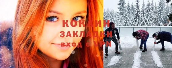 шишки Абинск