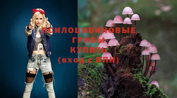 шишки Абинск
