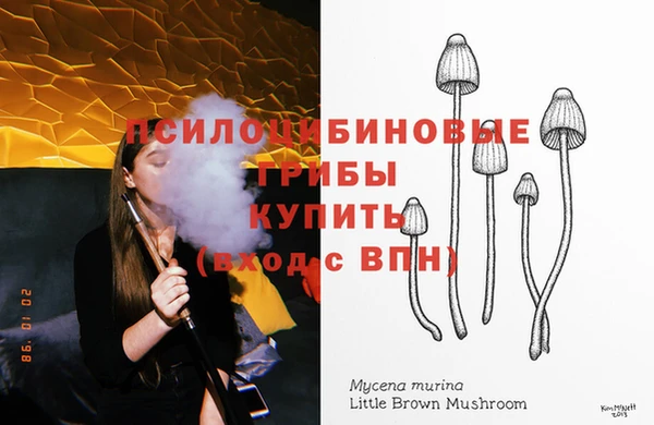 шишки Абинск