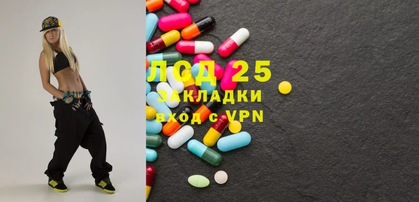 гашик Вязьма