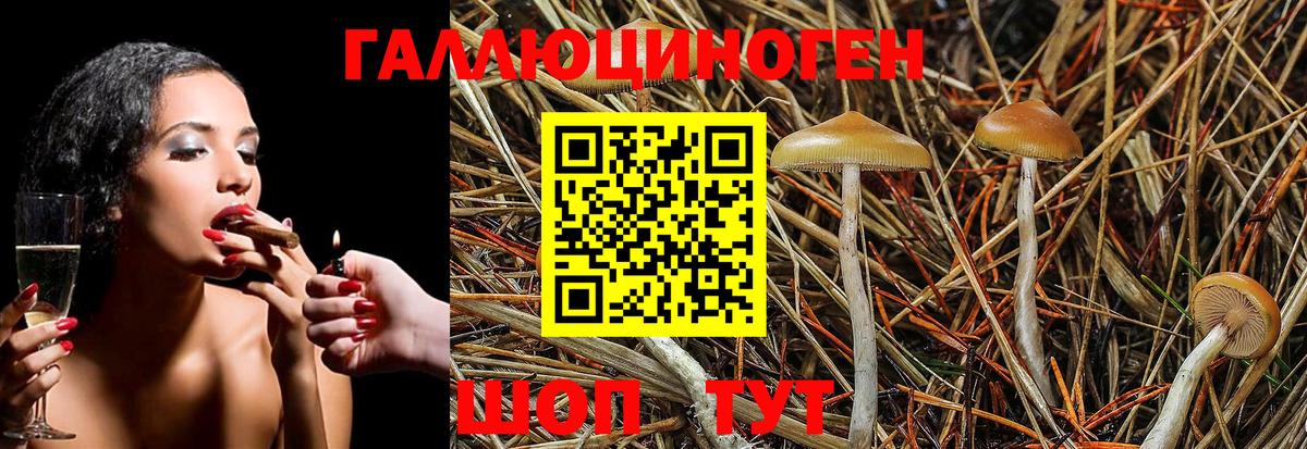Псилоцибиновые грибы MAGIC MUSHROOMS  Вход с VPN  Воронеж 