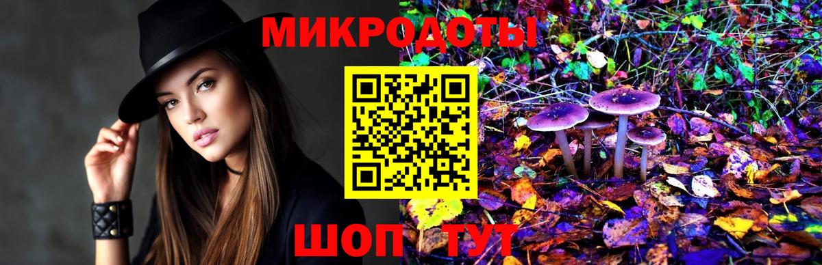 Галлюциногенные грибы Psilocybe Воронеж